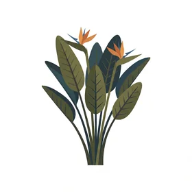Bird of Paradise