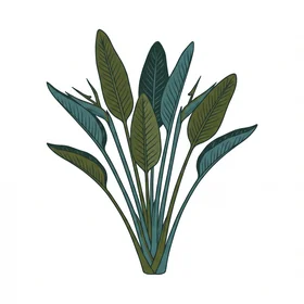Bird of Paradise (Sun)