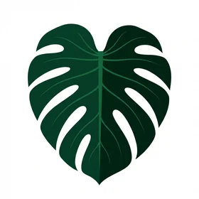 Monstera Botanical 2